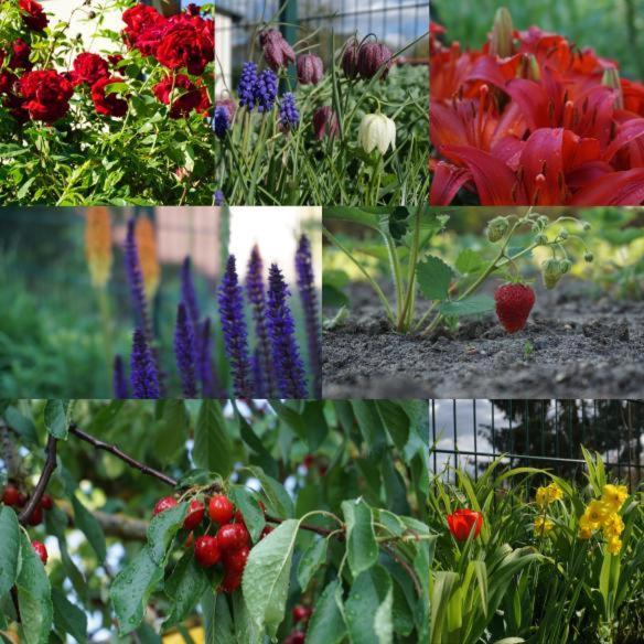 Gartenblick Trebbin Buitenkant foto