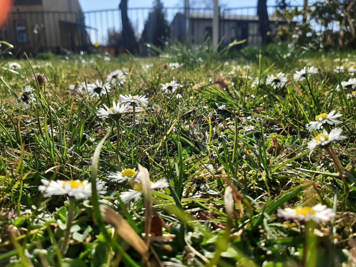 Gartenblick Trebbin Buitenkant foto